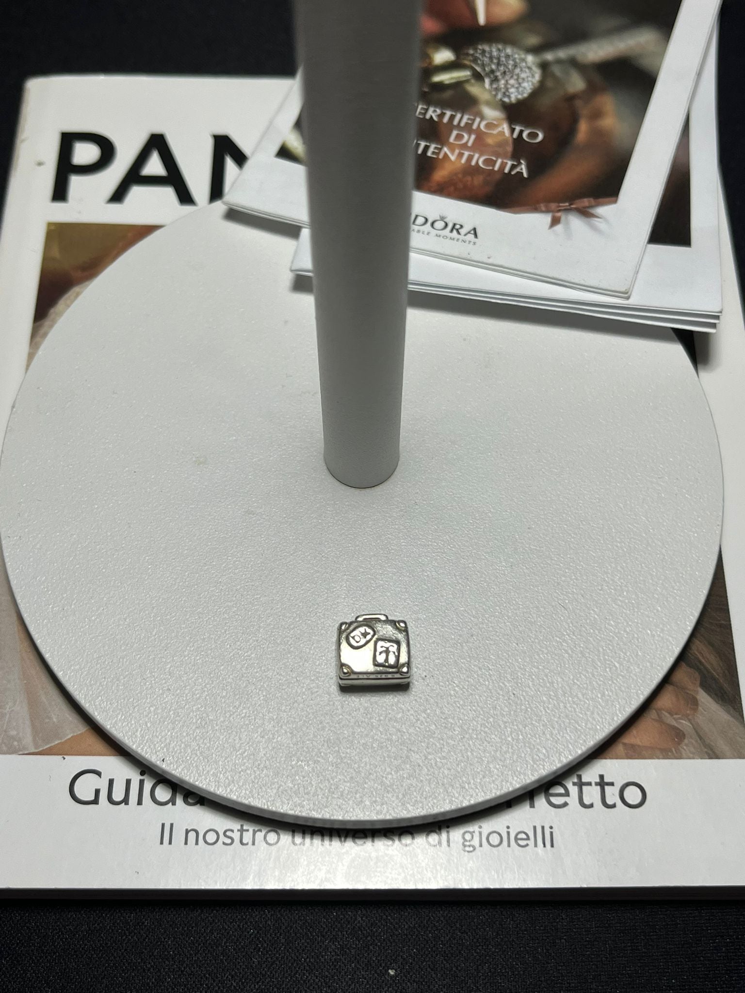 Charm Valigie e Avventure in Argento