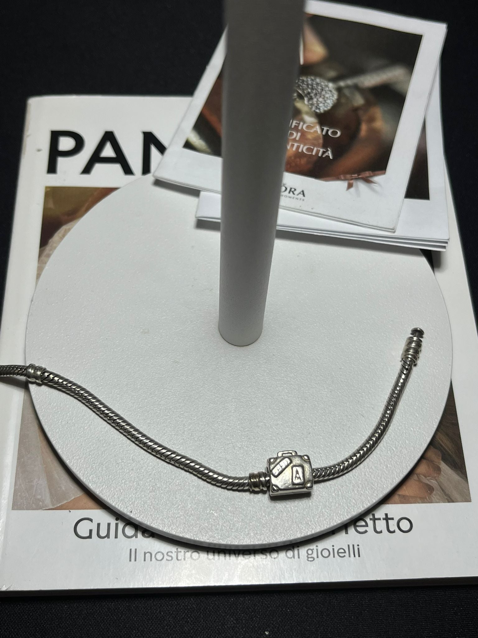 Charm Valigie e Avventure in Argento