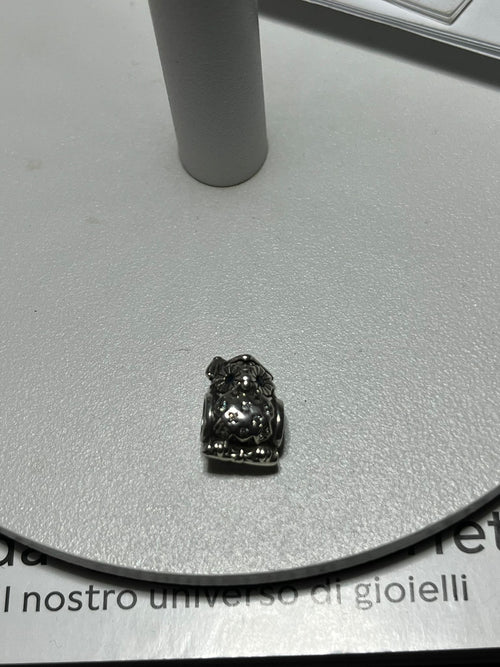 Charm Gufo Laurea in Argento